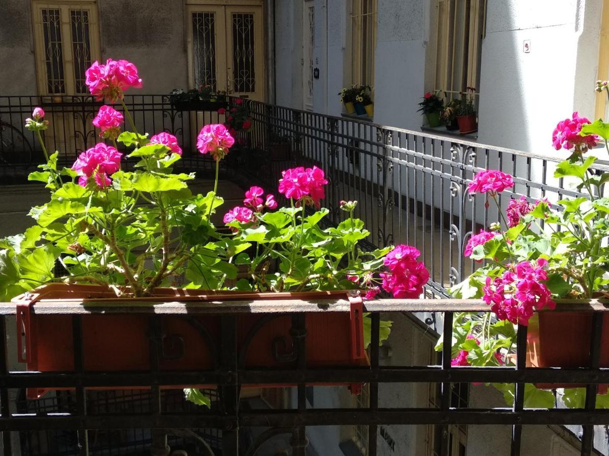 A Quiet Place In The Heart Of The City Budapeşte Dış mekan fotoğraf